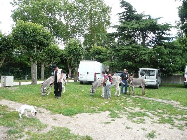 Le Parc 19 juillet 2012 (5).jpg